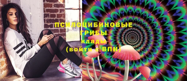 дживик Армянск