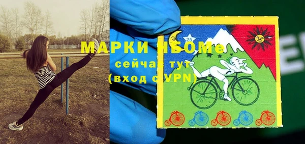 ешки Арсеньев