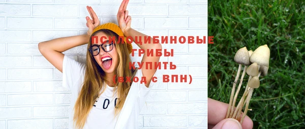 ешки Арсеньев