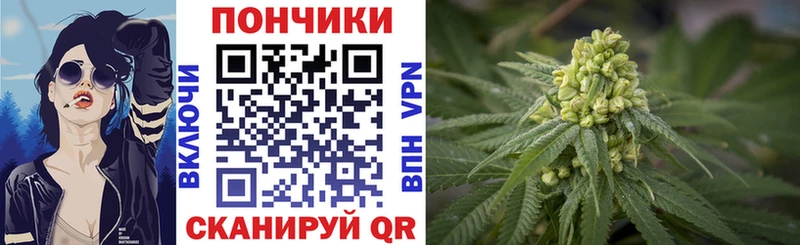 Бошки марихуана индика  Камбарка 